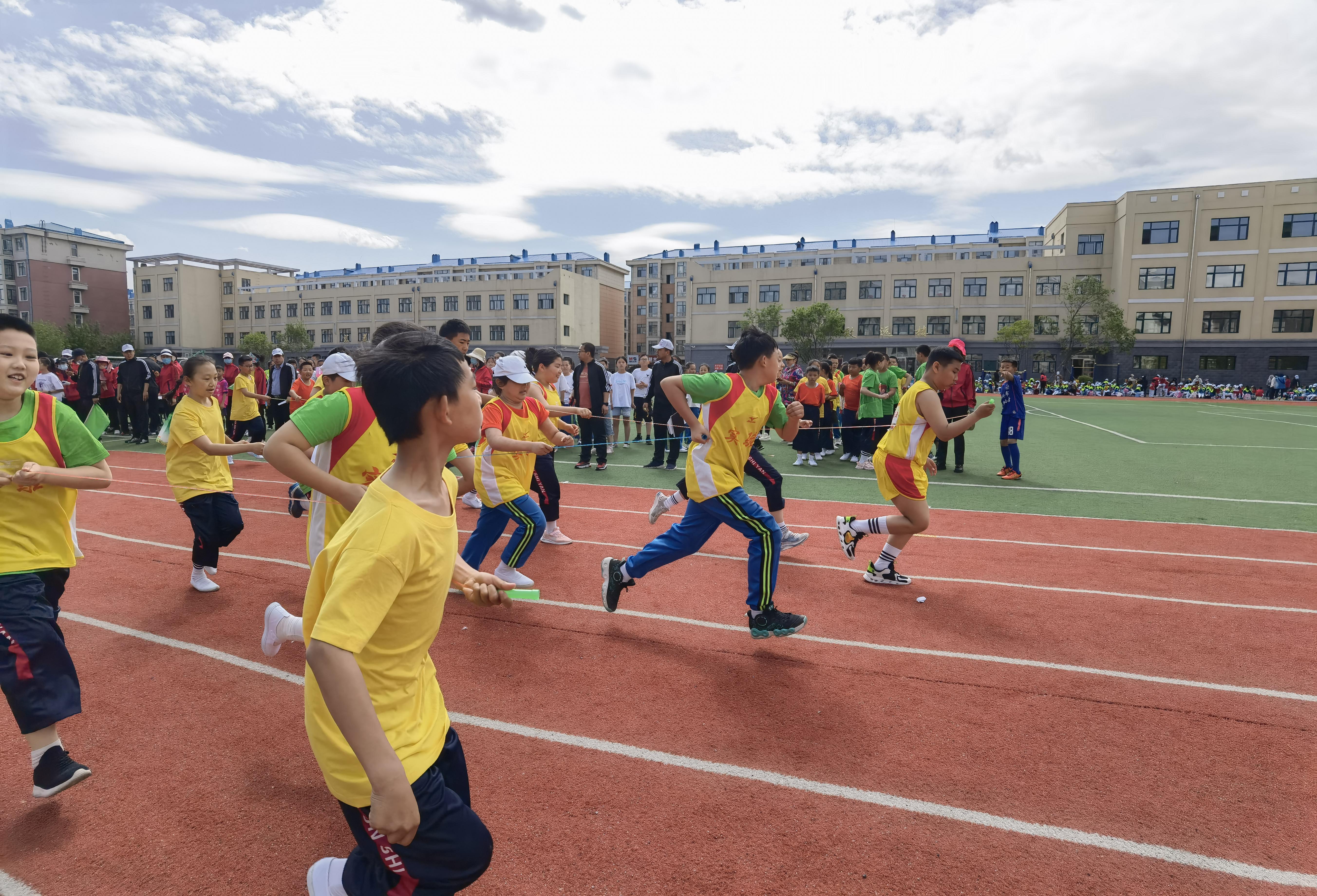 海伦市小学最新招聘信息及其相关解读