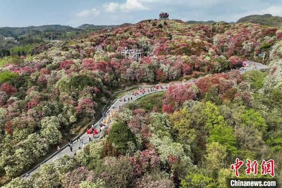 毕节市百里杜鹃景区游玩攻略大全