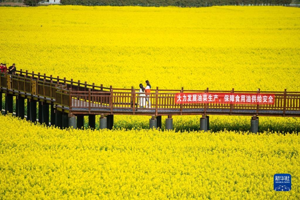 十美堂镇最新项目，地区发展新动力引领者