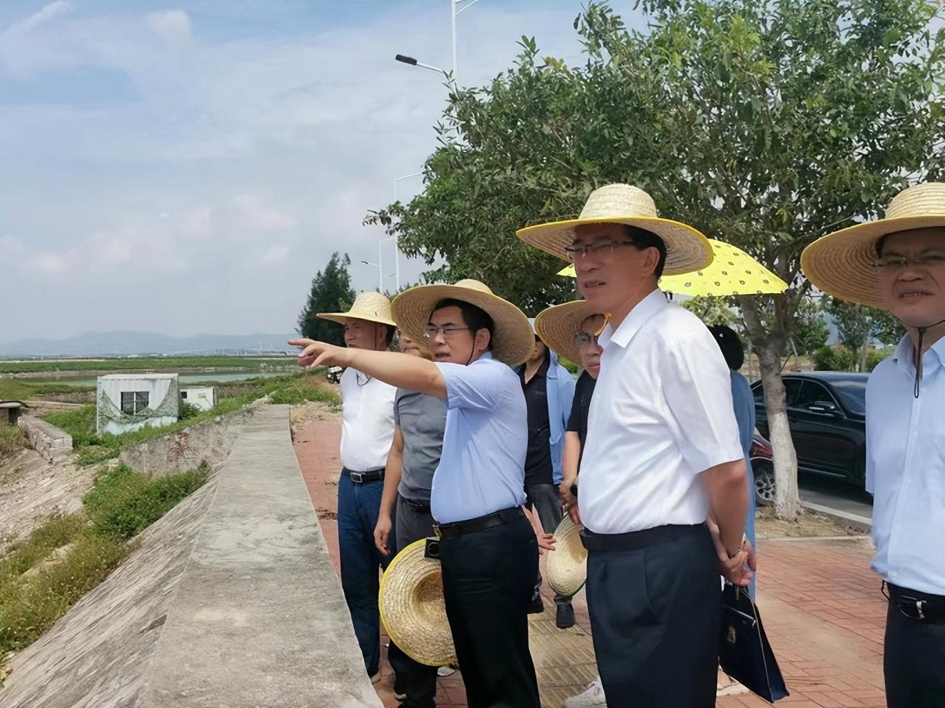 福清市市场监管现代化项目助力地方经济高质量发展