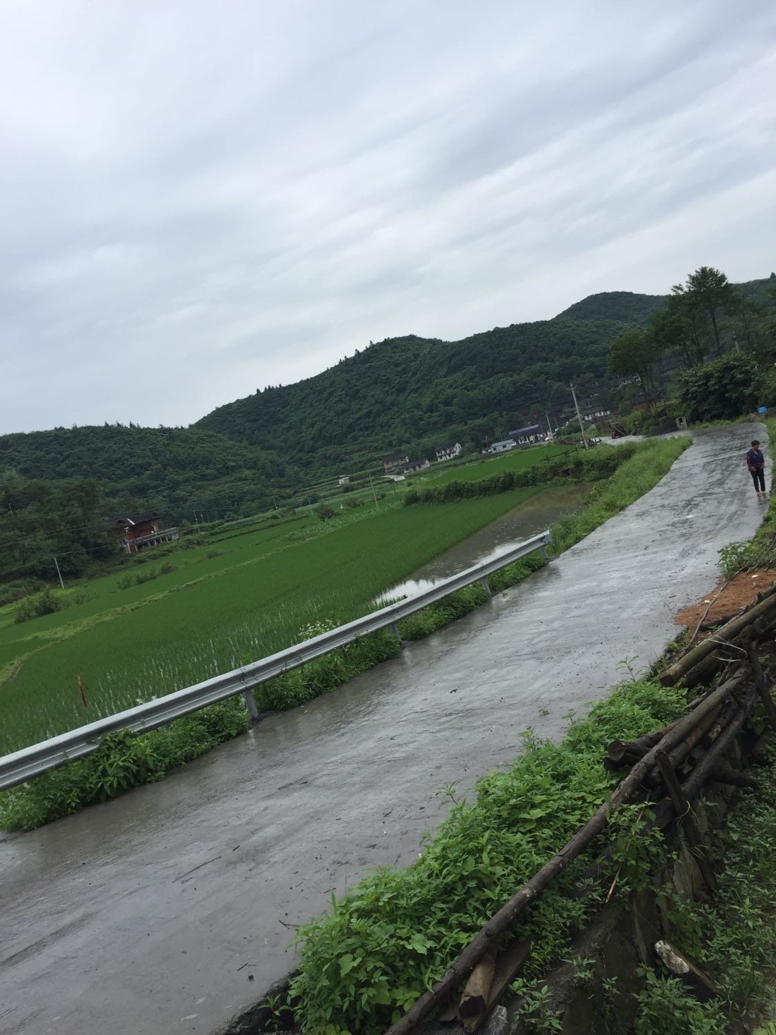 同和镇天气预报更新通知