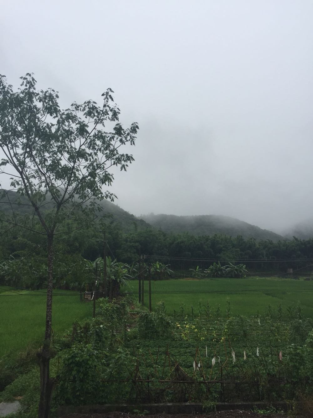 布龙村今日天气预报