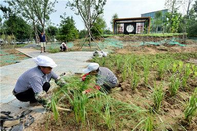 下木达村最新发展规划