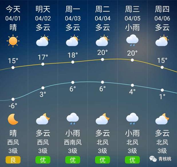 2024年12月23日